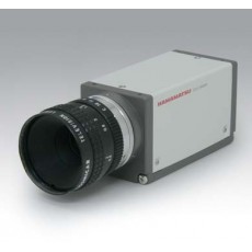 Near infrared CCD camera: C3077-80