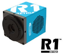 [Discontinued] Retiga R1™ CCD camera